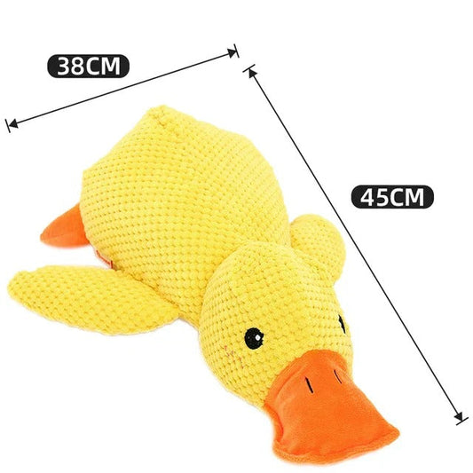 Calming Duck